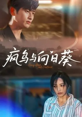 疯鸟与向日葵海报