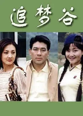 追梦谷海报