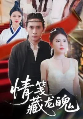 情笺藏龙魄海报