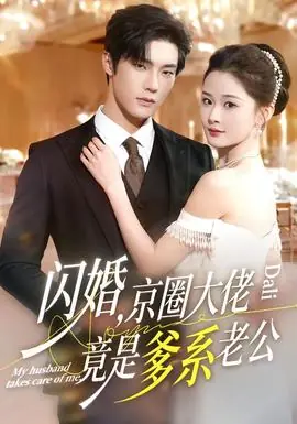 闪婚,京圈大佬竟是爹系老公海报