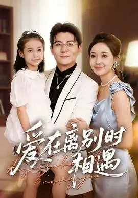 爱在离别时相遇海报