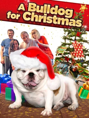 圣诞节的斗牛犬海报