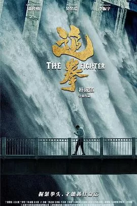 追拳海报