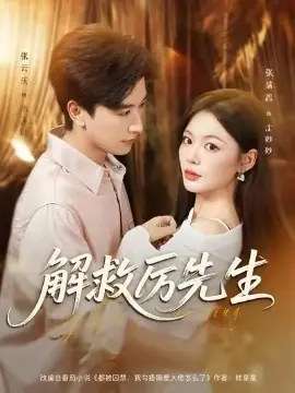 解救厉先生海报