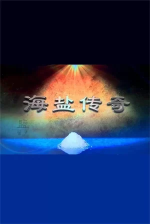 海盐传奇海报