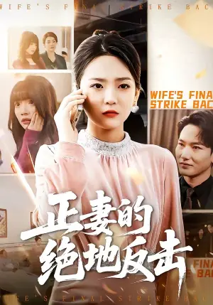 正妻的绝地反击海报