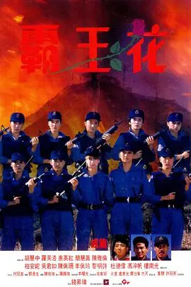 霸王花(国语)海报