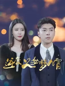 逆袭之逐梦九霄海报