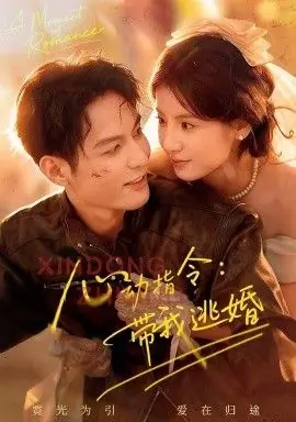 心动指令:带我逃婚,玫瑰窃贼海报