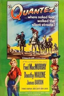 喋血美人关海报