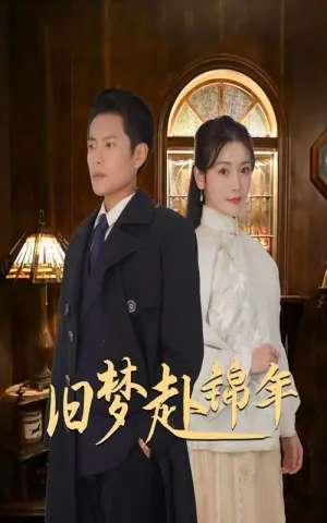 旧梦赴锦年海报