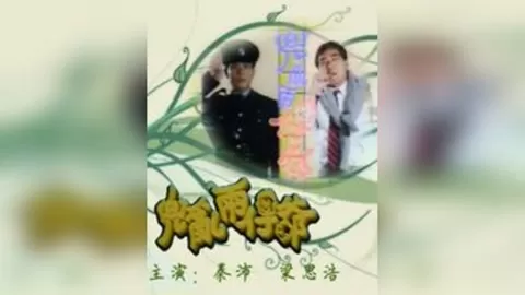 兜乱两仔爷海报