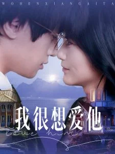 我很想爱他海报