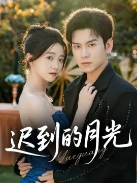 迟到的月光海报