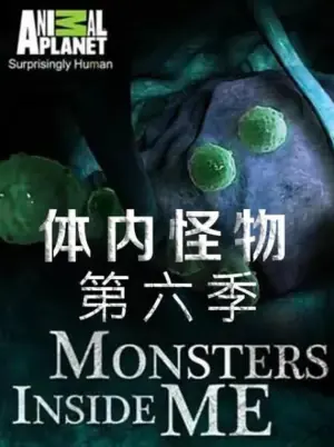 体内的怪物第六季海报