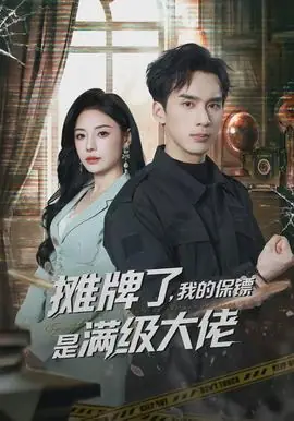摊牌了,我的保镖是满级大佬海报