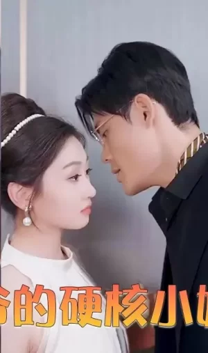 四爷的硬核小娇妻海报