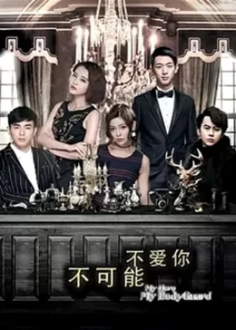 不可能不爱你海报