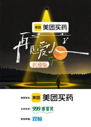 再见爱人5沉浸版海报