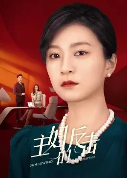 主妇的反击海报