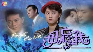 毋忘我(粤语)海报