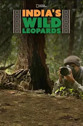IndiasWildLeopards海报