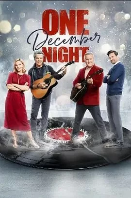 OneDecemberNight海报