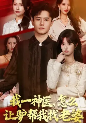 我一神医,怎么让驴帮我找老婆海报