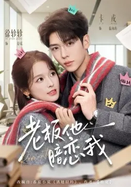 老板他暗恋我海报