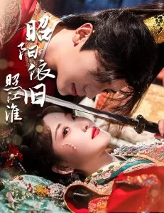 昭阳依旧照江淮海报