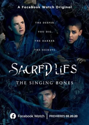 神圣的谎言第二季海报