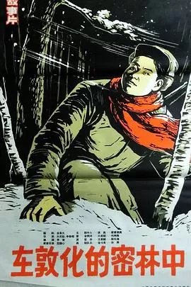 在敦化的密林中海报