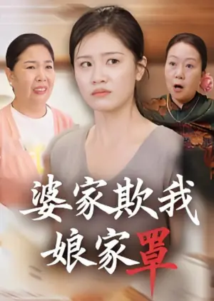 婆家欺我娘家罩海报