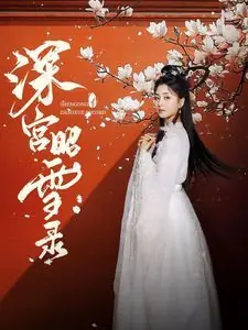 深宫昭雪录海报