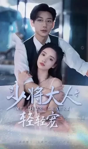 少将大人,轻轻宠海报