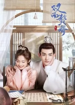 双面赘婿第二季海报