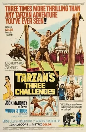 泰山的三大挑战海报