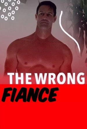 错误的未婚夫海报