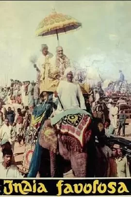 神奇的印度海报