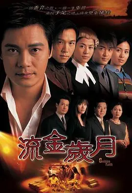 流金岁月2002(粤语)海报