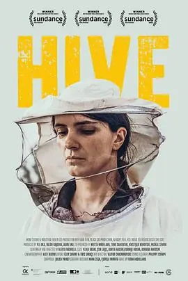 蜂箱Hive海报