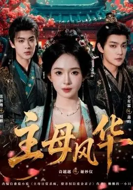 主母风华海报