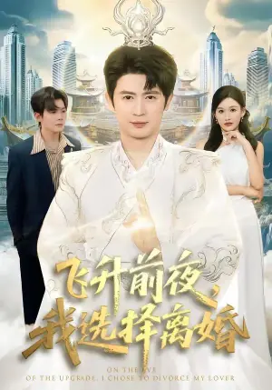 飞升前夜,我选择离婚海报