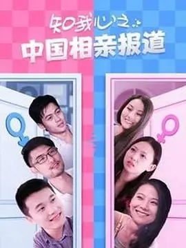 知我心之中国相亲报道海报