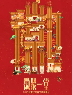 2025安徽卫视春晚海报