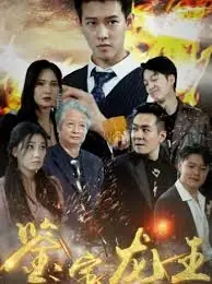 鉴宝龙王海报