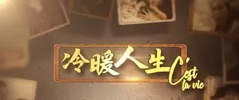 冷暖人生海报