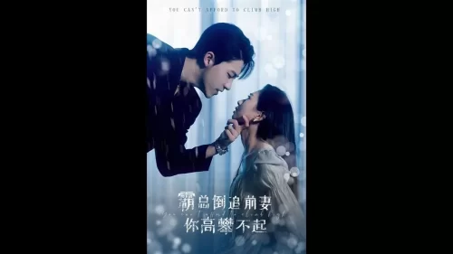 霸总倒追前妻你高攀不起海报