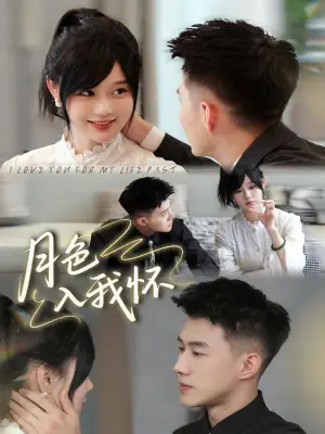 月色入我怀海报