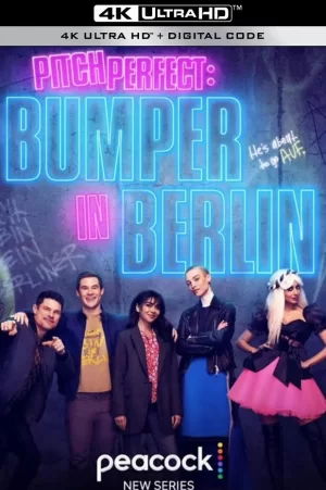 完美音调:邦珀在柏林第一季海报